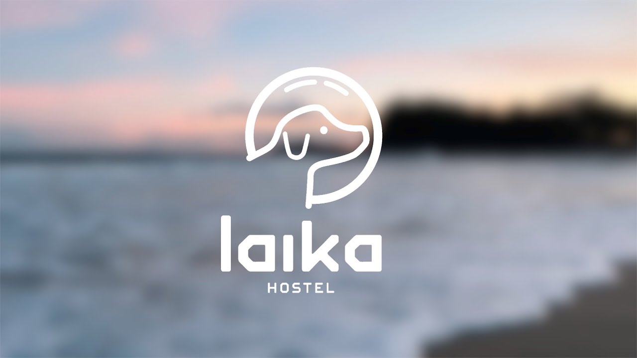 laika-thumbnail